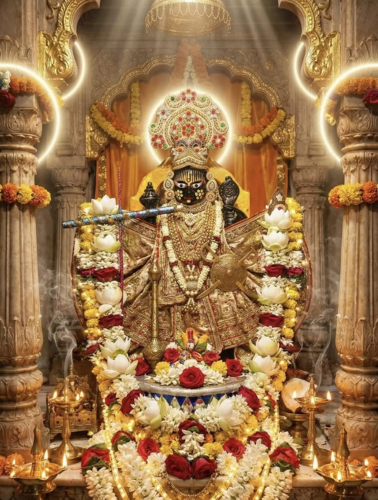 untitled design (18)